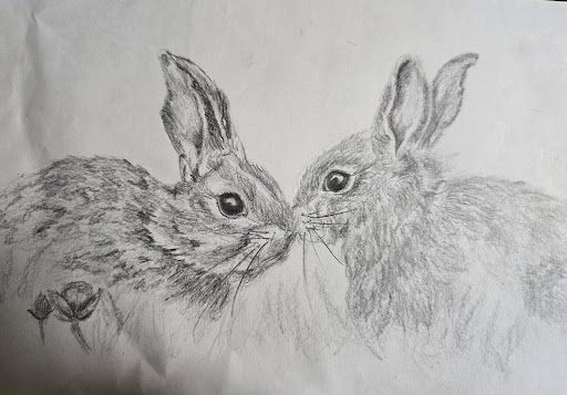 Equinox Bunnies