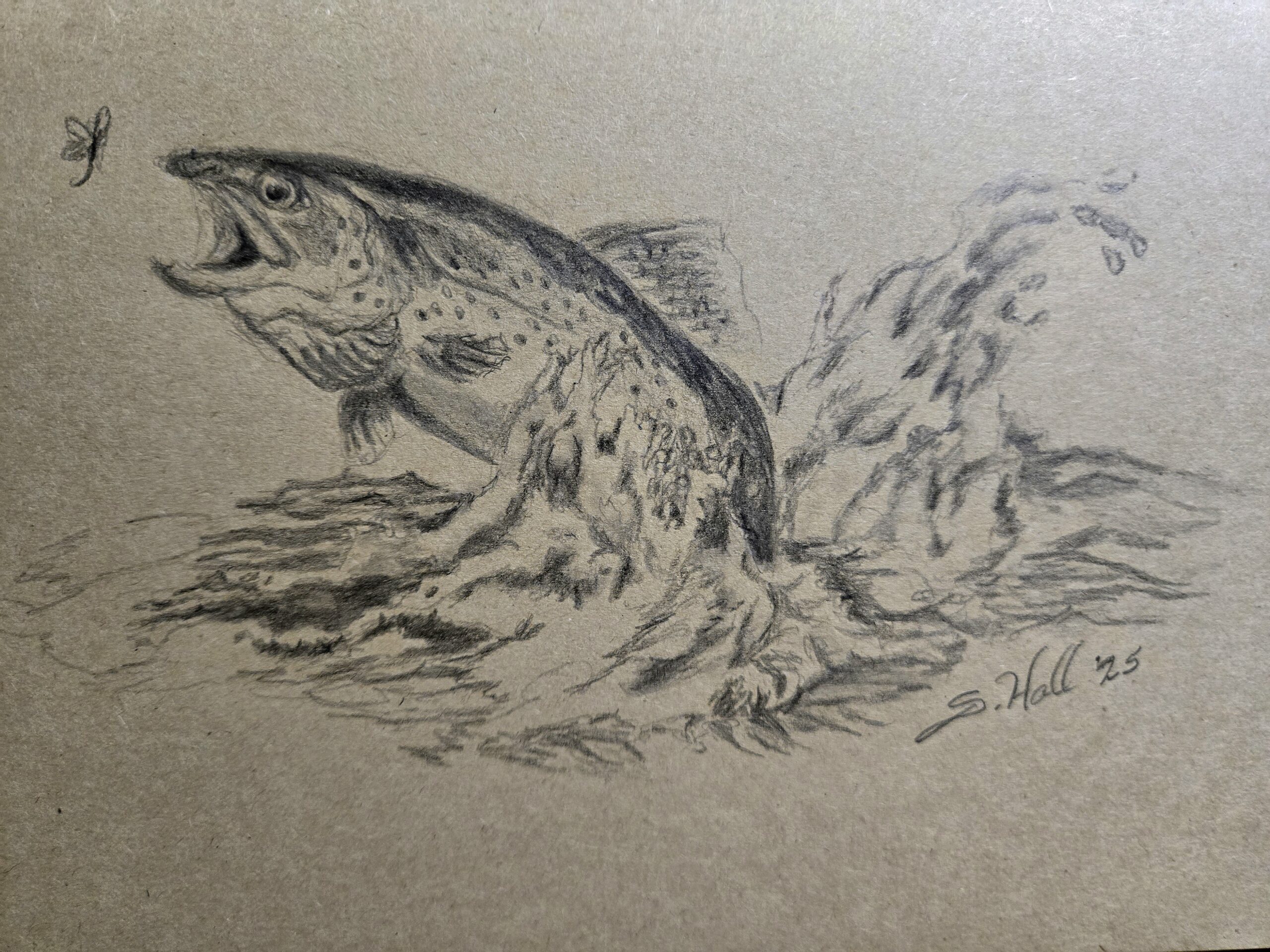 Gardening and Sketching